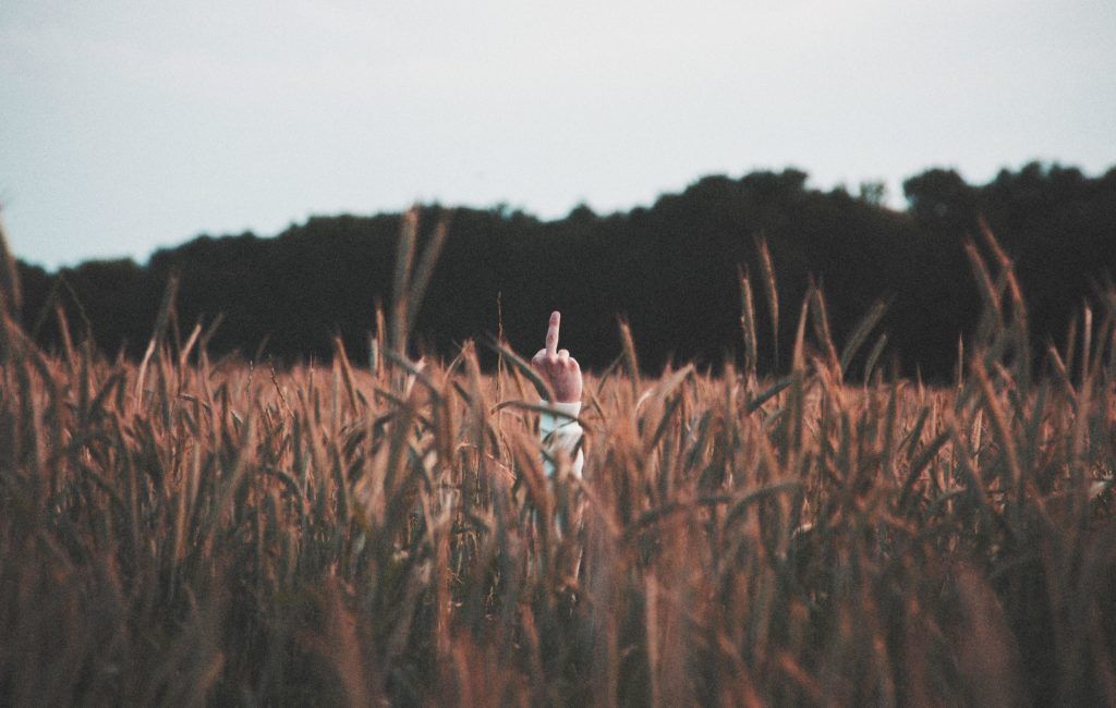 Hinweis für sich selbst: F * ck The Haters