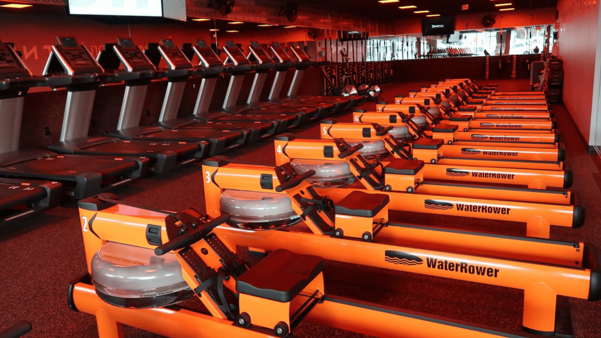 Die Wahrheit über OrangeTheory Workouts