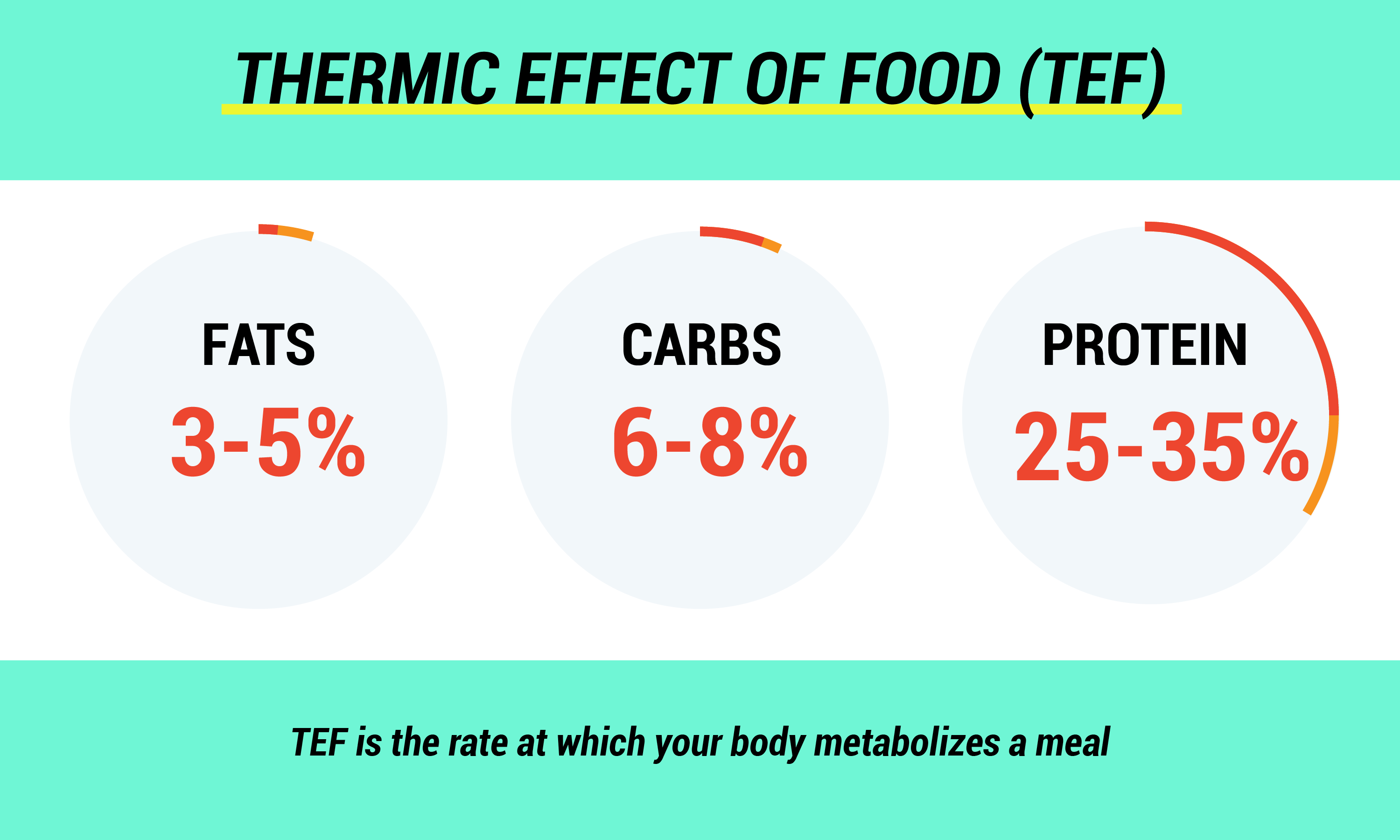 Infografik der unterschiedlichen thermischen Wirkungen von Lebensmitteln