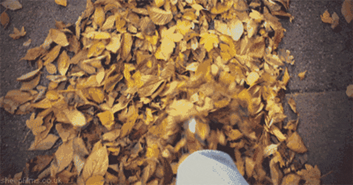 11 Arten von Läufern, die Sie jeden Herbst sehen