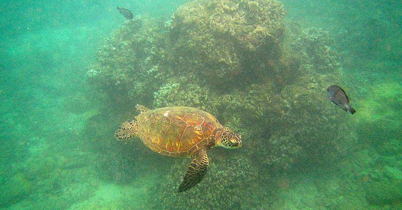 Wie mir ein Fitness-Retreat geholfen hat, aus meinem Wellness-Trott herauszukommen