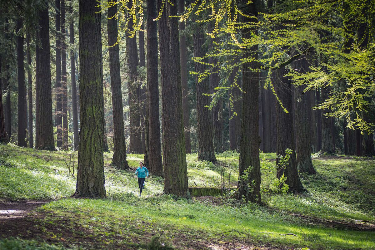 Ich sagte, ich würde niemals einen Marathon laufen – hier ist, warum ich es getan habe