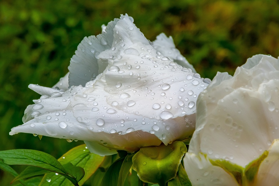 Indoor-Radfahren: Ein effektives Workout