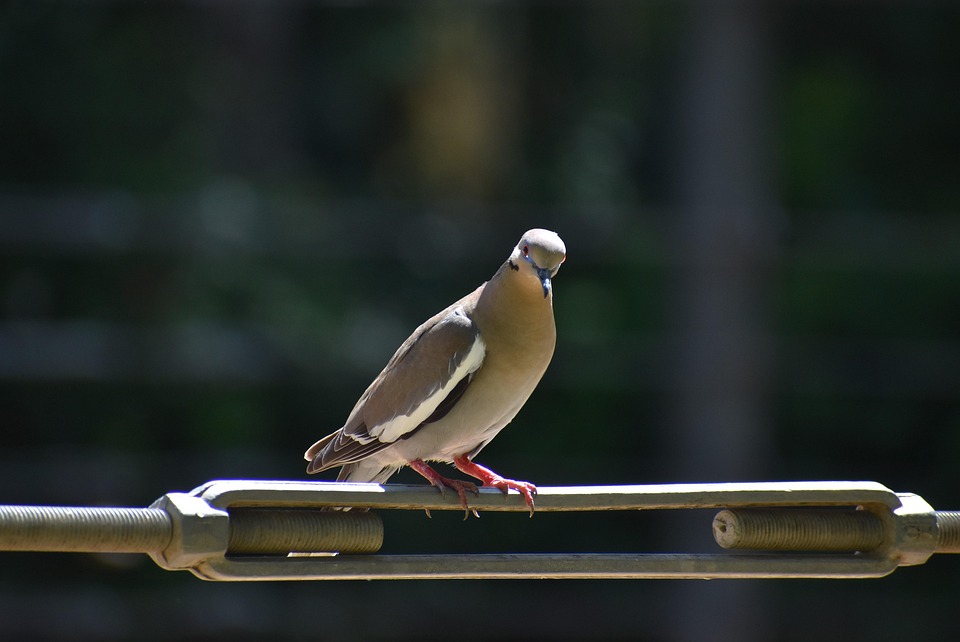 Die besten Apps für Stretching und Mobilität