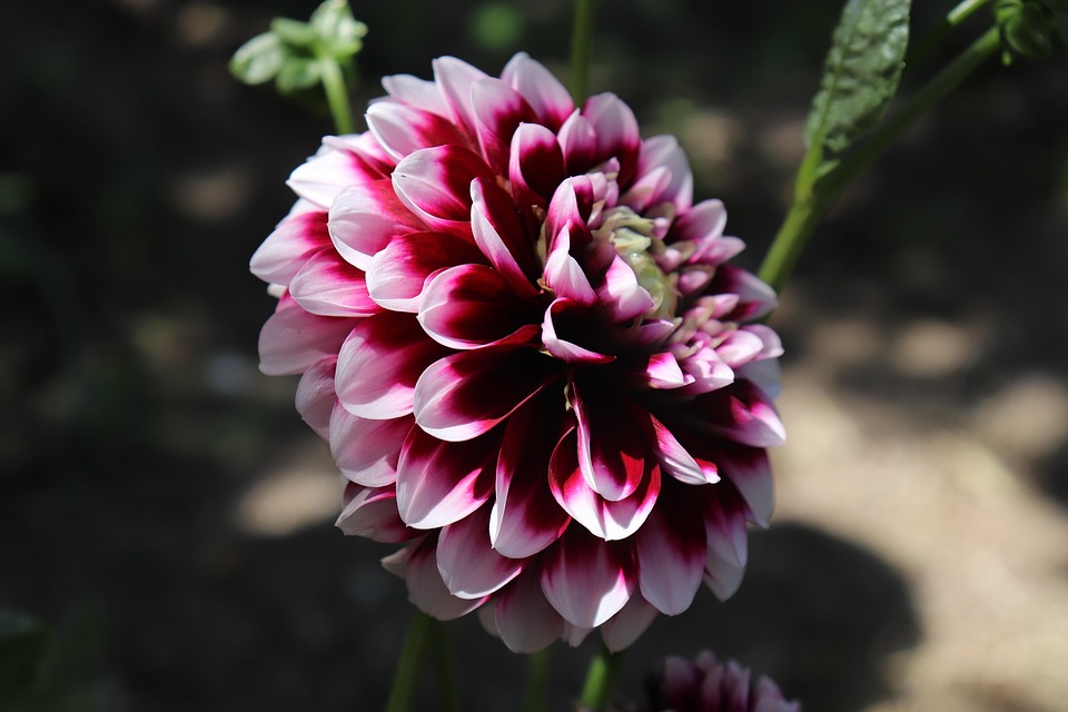 Die besten Cool-Down-Techniken nach dem Training